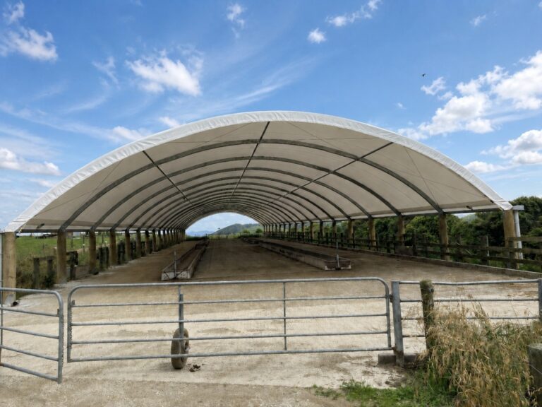 Farm Shed, Waerenga