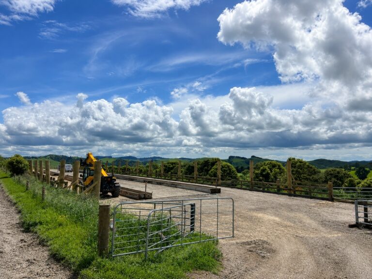 Farm Shed, Waerenga