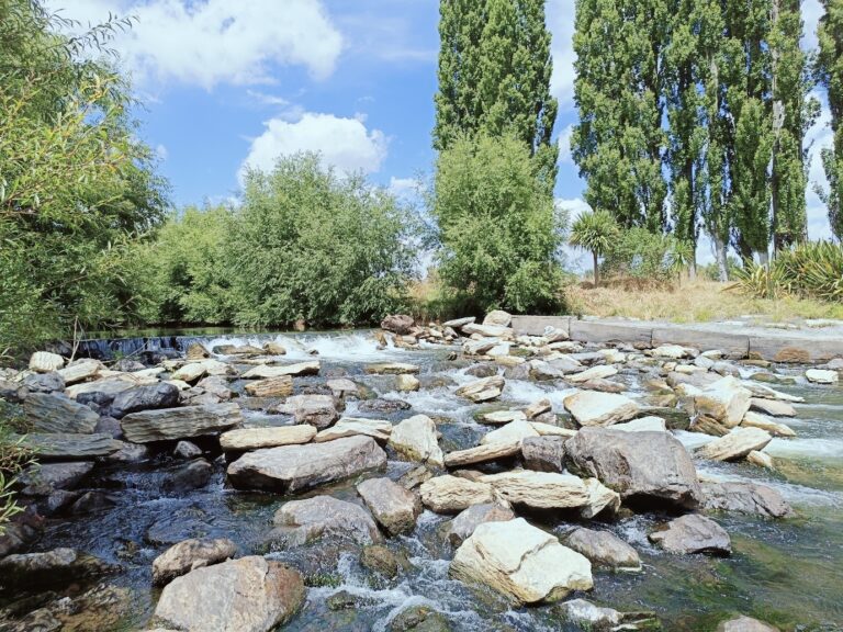 DABA_Project_Photo_11