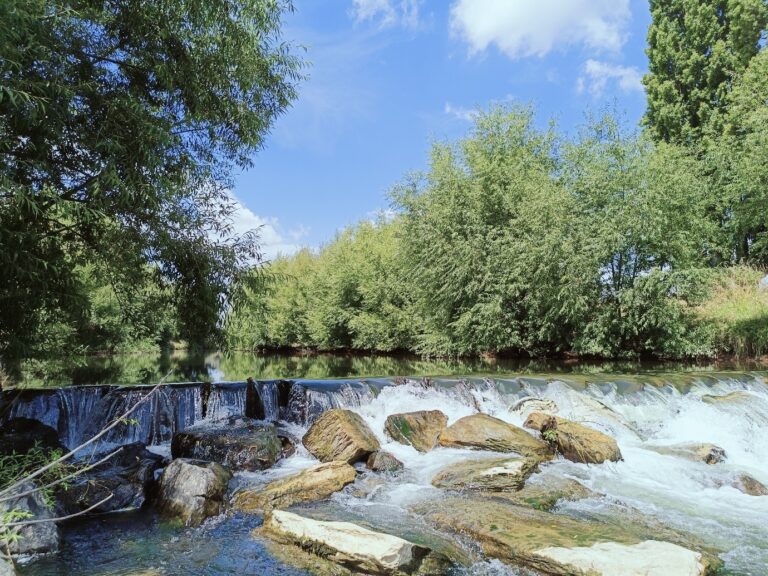 Waipā River Weir – Condition Assessment and Rebuild Options